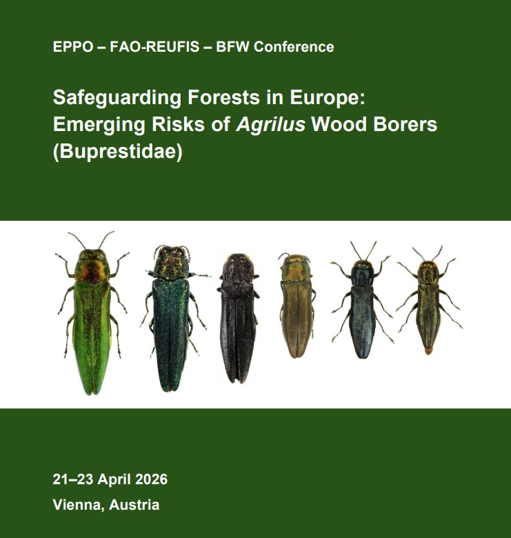 Emerging Risks of Agrilus Wood Borers, 21-23 April 2026, Vienna, Austria 