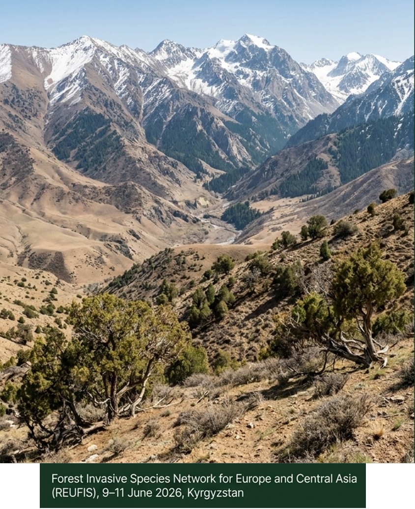 Forest Invasive Species Network, 9-11 June 2026,  Jalal-Abad, Kyrgyzstan